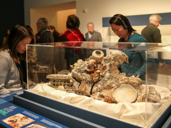 A woman listening to an audio tour looks at a concretion of broken porcelain and sea matter.